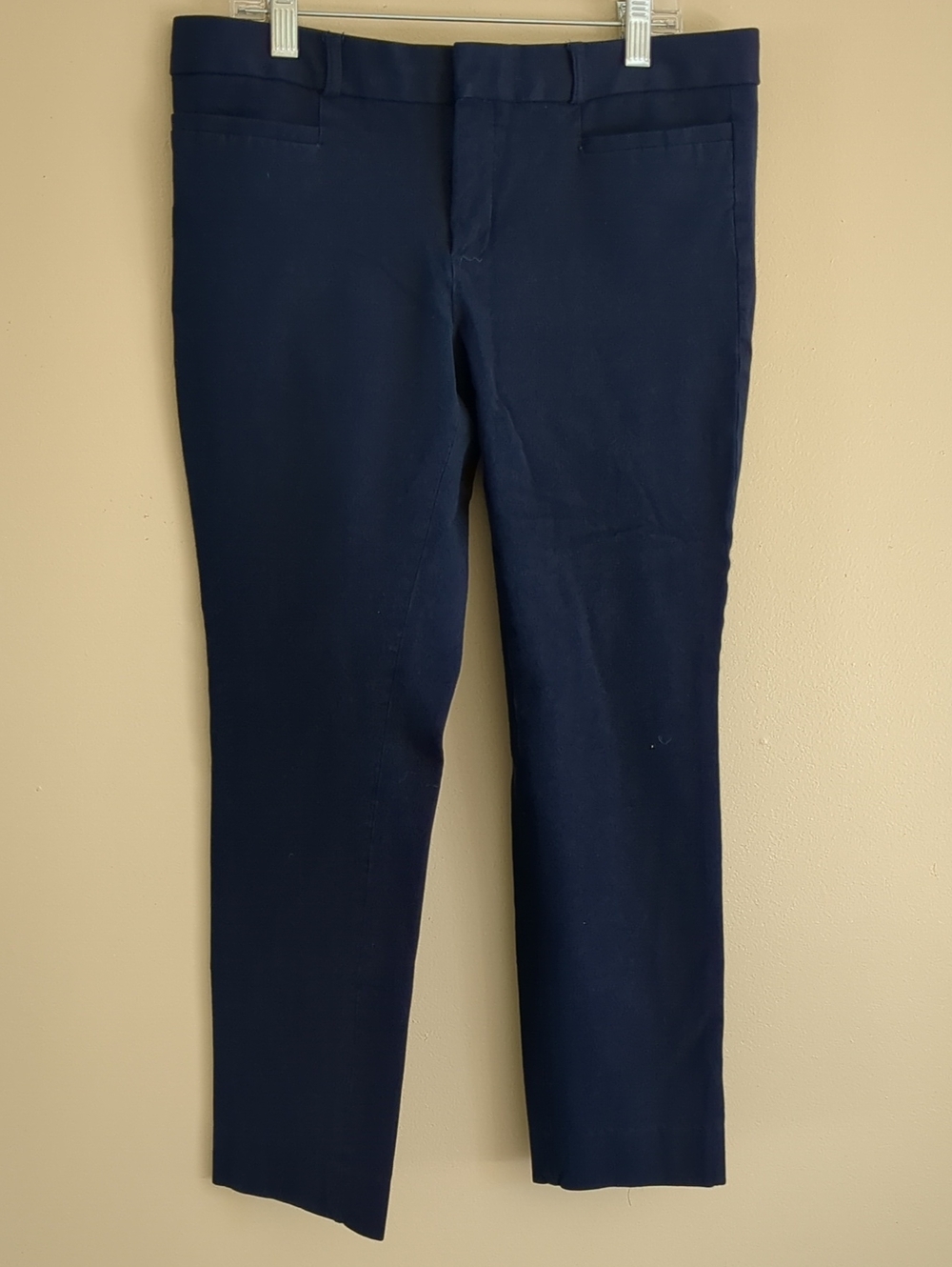 6 Banana Republic Factory Blue Sloan Pants